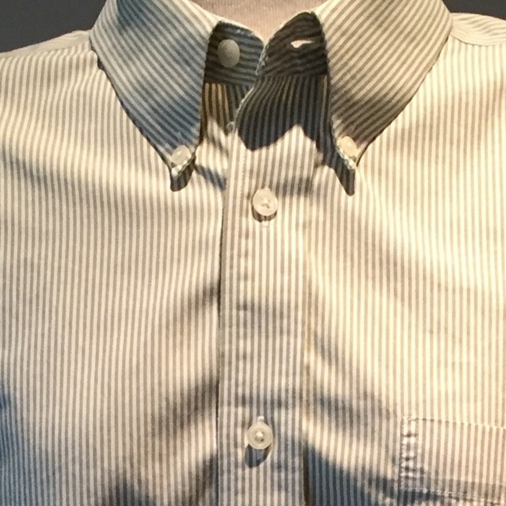 Eddie Bauer olive green striped oxford - EUC